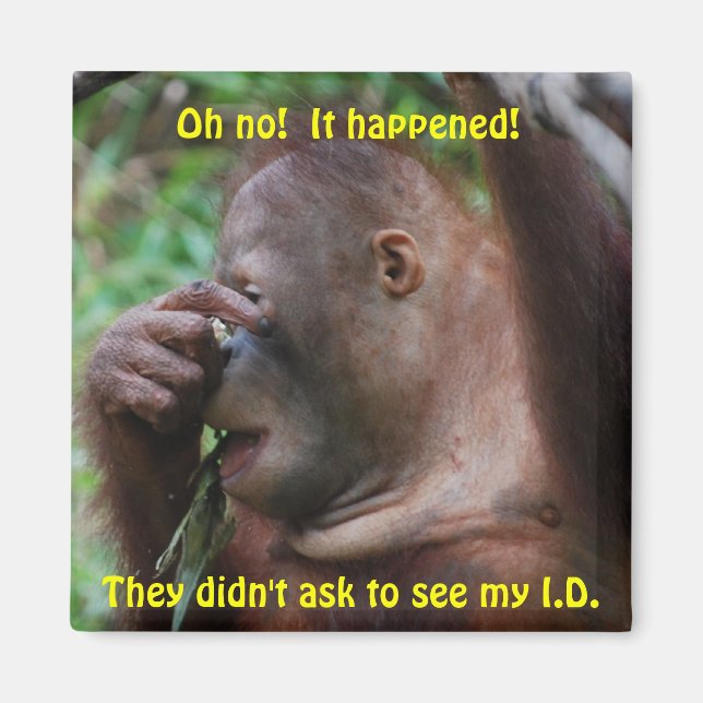 Imã Identificação (Frente)