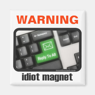 Imã Ídiot Magnet (ímã)