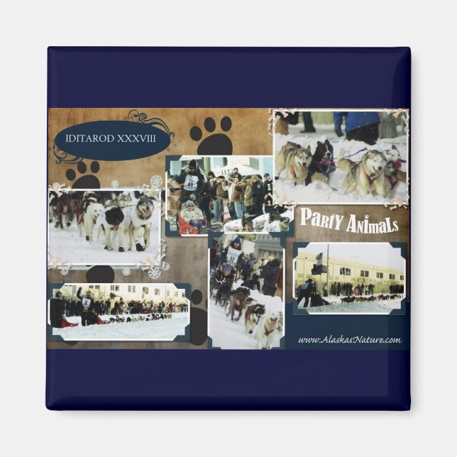 Imã Iditarod 2010 (Frente)