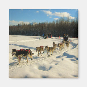 Imã Iditarod Trail Sled Race