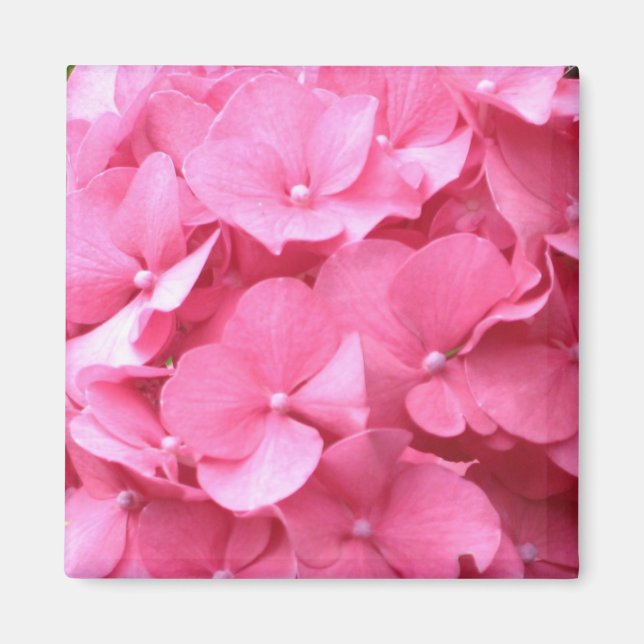 Imã Ídrangeas Rosa (Frente)