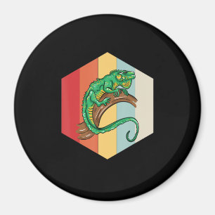 Imã Iguana Illustra Proprietário do Pão Gift Iguanas L