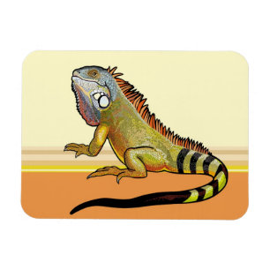 Ímã iguana verde