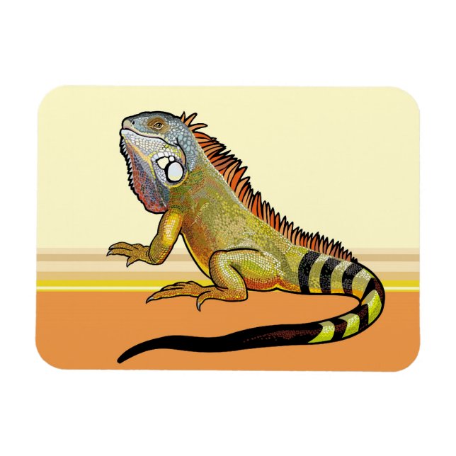 Ímã iguana verde (Horizontal)