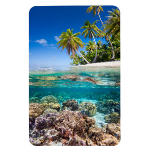 Ímã Ilha abaixo e à superfície da àgua tropicais