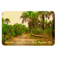Ilha Caladesi Dunedin Fl Flexi Magnet