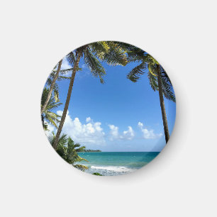 Imã Ilha Caribe, Martinica