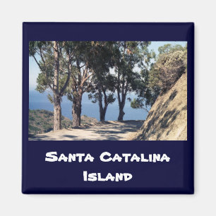 Imã Ilha Catalina