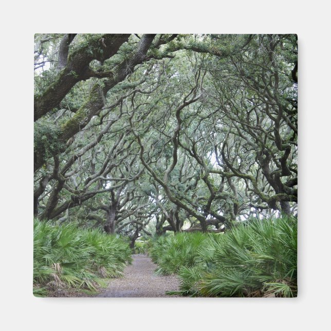 Imã Ilha Cumberland (Frente)