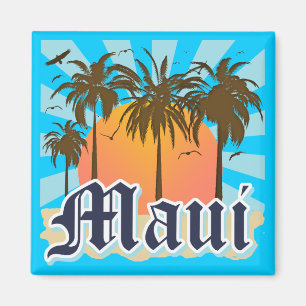 Imã Ilha da lembrança de Maui Havaí