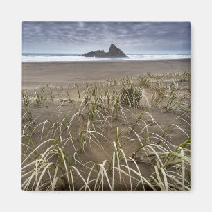 Imã Ilha da praia Panatahi de Karekare, costa oeste