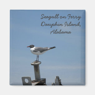 Imã Ilha Dauphin, Alabama Magnet