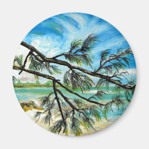 Imã Ilha de Andros, Bahamas