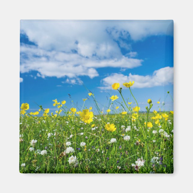 Imã ilha do Uist do Sul | Escócia (Frente)