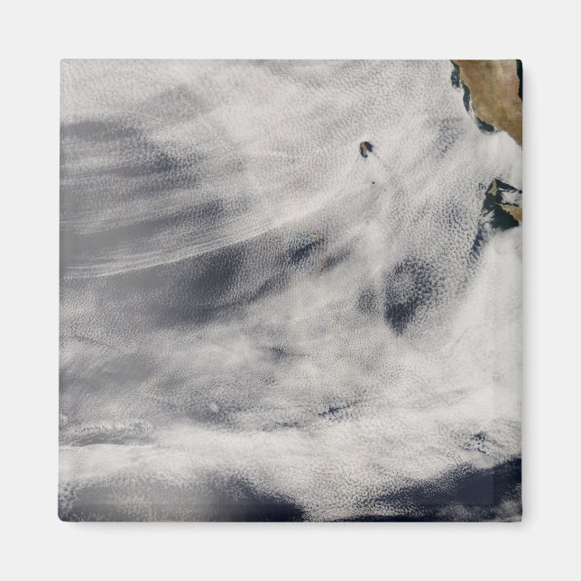 Imã Ilha Guadalupe (Frente)