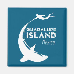 Imã Ilha Guadalupe México   Mergulho Com Tubarões