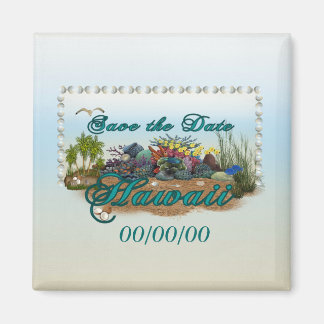 Imã Ilha Hawaii Salve a Data