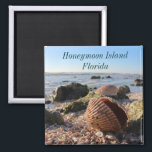 Imã Ilha Honeymoon Flórida Imagem Romântica de Seashel<br><div class="desc">Ilha Honeymoon,  Flórida - Conchas Românticas no ímã de praia</div>