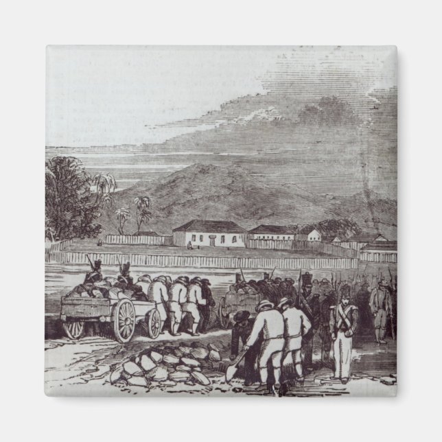 Imã Ilha Norfolk (Frente)