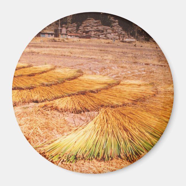 Imã Ilha Reed do Lago Titicaca Uros (Frente)