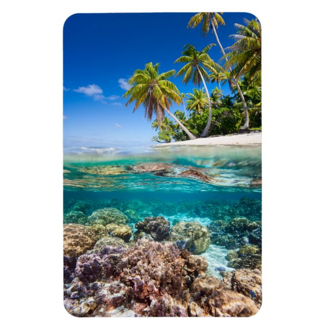 Ímã Ilha Tropical sob e acima da água (Vertical)