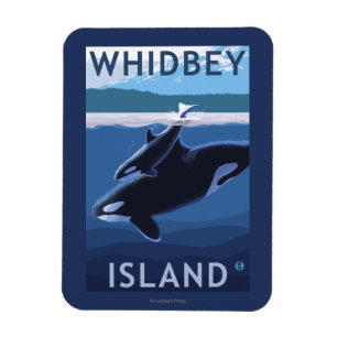 Ímã Ilha, WashingtonOrca e vitela de Whidbey