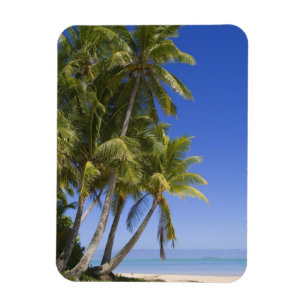 Ímã Ilhas Cook de praia com Palm 3
