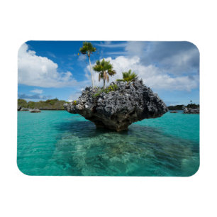 Ímã Ilhas De Cogumelo Nas Fiji