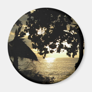 Imã Ilhas Fiji