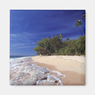 Imã Ilhas Fiji, Tavarua. Esta praia em Tavarua,
