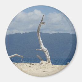 Imã Ilhas Frankland - Austrália Magnet