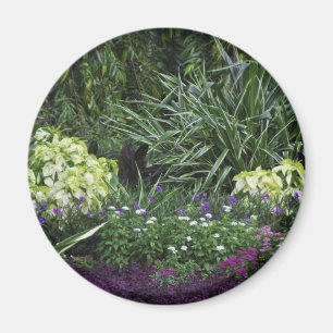 Imã Ilhas Grand Cayman