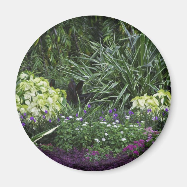 Imã Ilhas Grand Cayman (Frente)