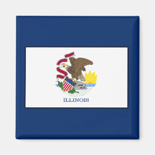 Imã Illinois