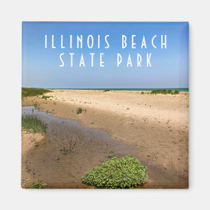 Imã Illinois Beach State Park