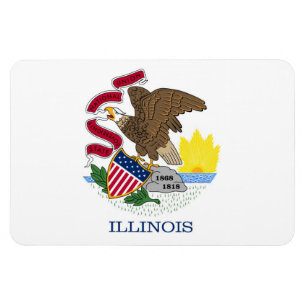 Ímã Illinois Flag