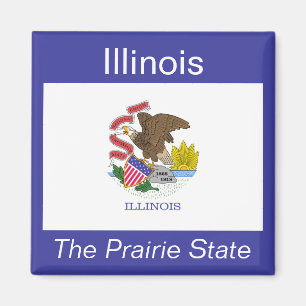 Imã Illinois Flag Magnet