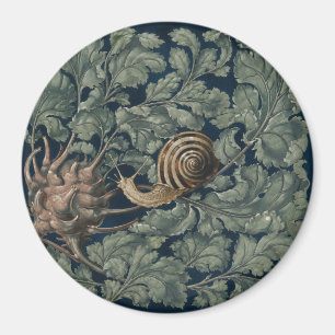Imã Ilustração Antiga de Caracol Botânico Art Nouveau