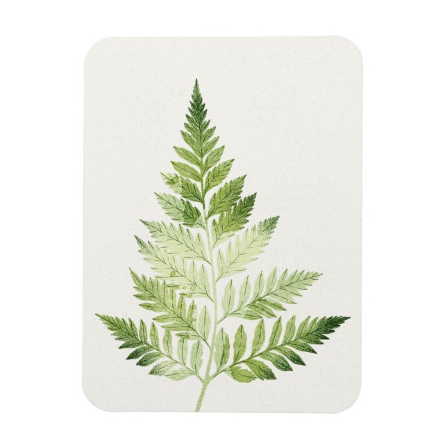 Ímã Ilustração Botânica de Fern Verde Minimalista (Vertical)