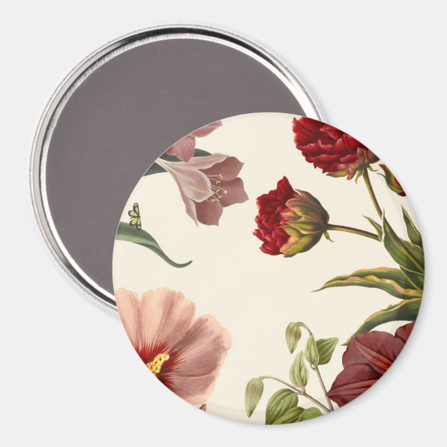Imã Ilustração botânica vintage com várias  (Front/Back)