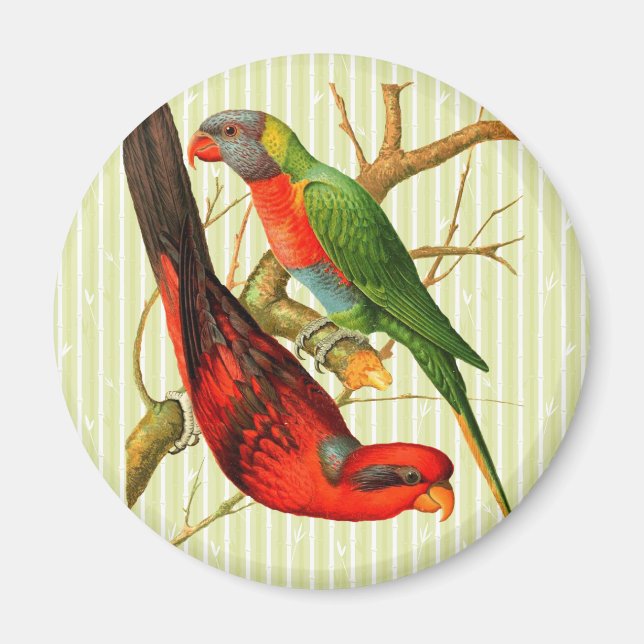 Imã Ilustração Colorida de Peças Vermelhas e Verdes (Frente)