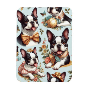 Ímã Ilustração Cute Vintage de Boston Terrier