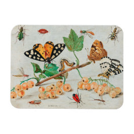 Ímã Ilustração da colheita de borboletas em bagas