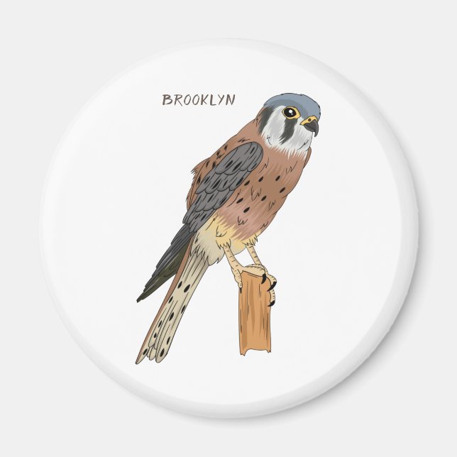 Imã Ilustração de ave do Kestrel Americano (Frente)