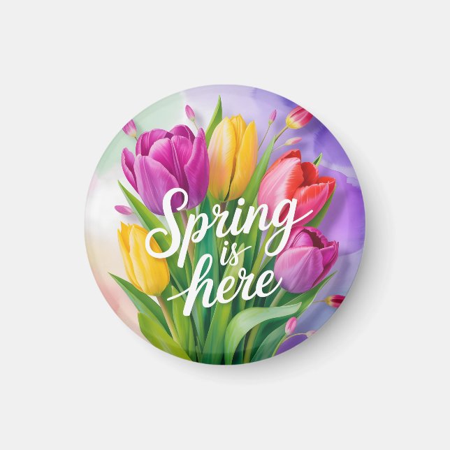 Imã Ilustração de Buquê de Tulipas "A Primavera Chegou (Frente)