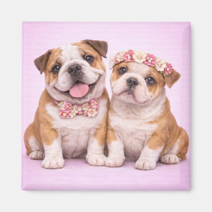 Imã Ilustração de Casal de Bulldog Inglês Fofo para o
