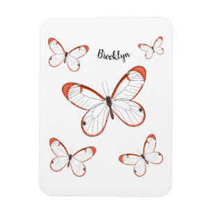 Ímã Ilustração de desenho animado da borboleta