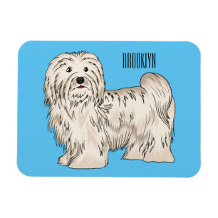 Ímã Ilustração de desenho animado de cão Havanês