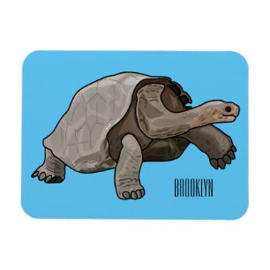 Ímã Ilustração de desenho animado de tartaruga de Galá