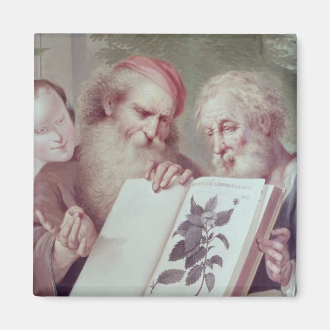 Imã Ilustração de Hortus Cliffortianus (Frente)